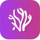 小财神影视app 下载官网最新版