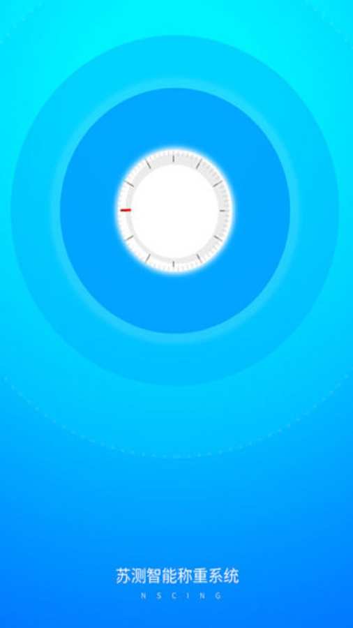 
苏测智能称重系统