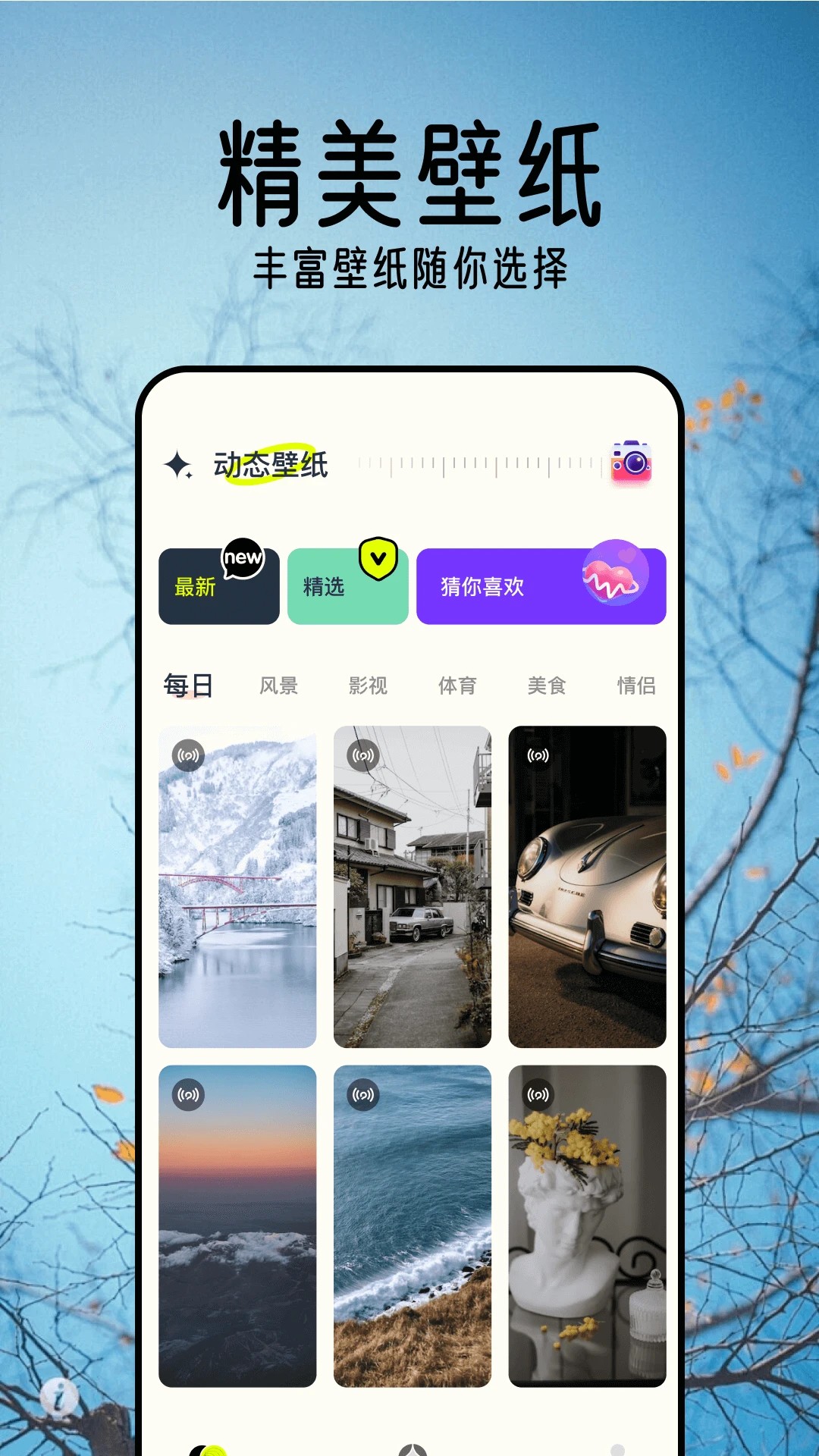 壁纸精灵 去广告版(图1)