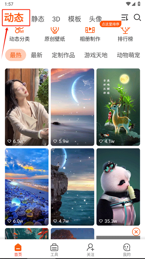 壁纸精灵 去广告版(图2)