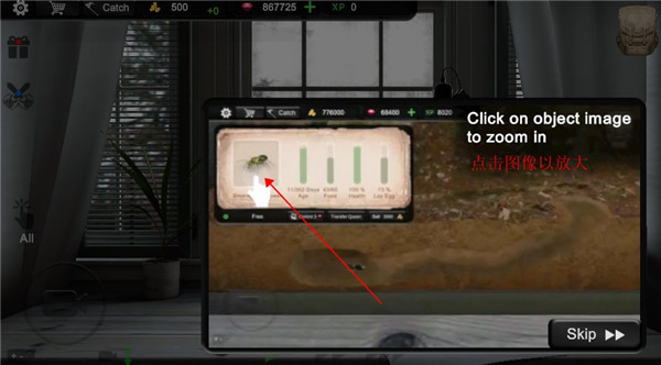 蚂蚁模拟器 汉化版(图5)