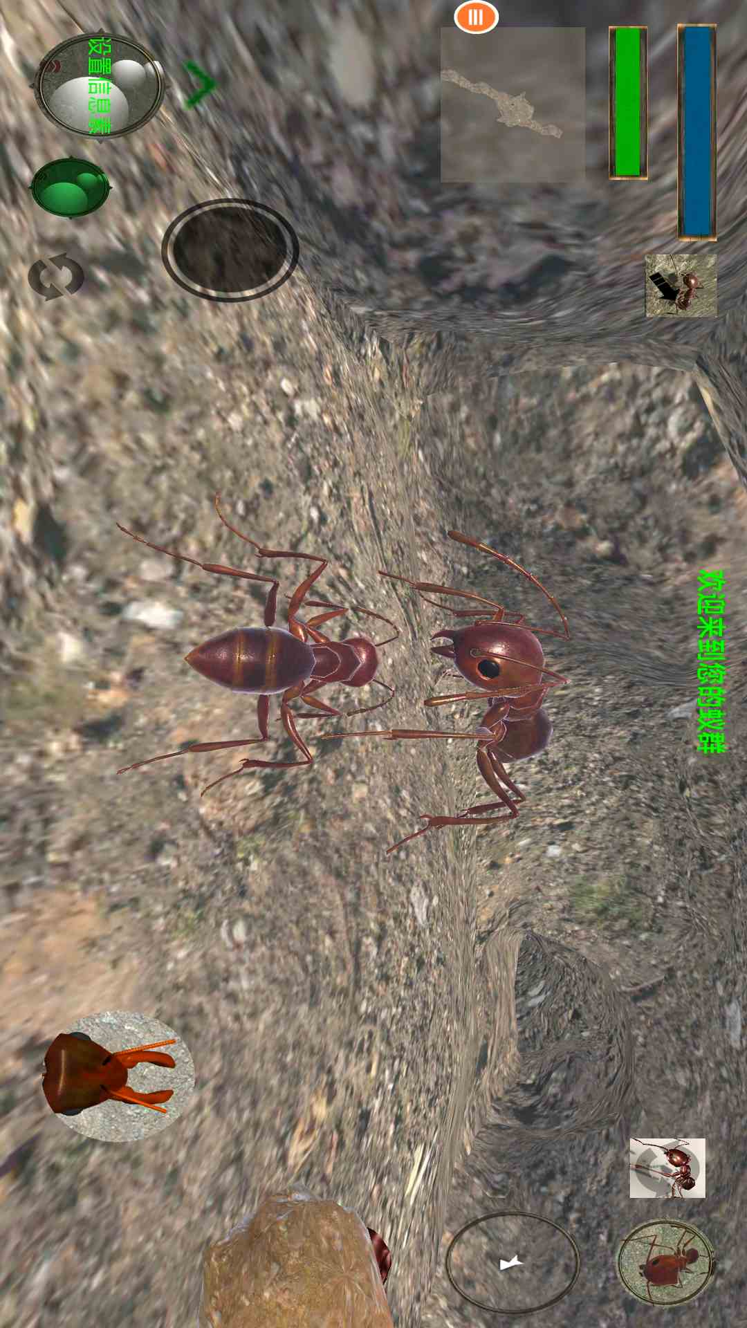 
蚂蚁模拟器 汉化版