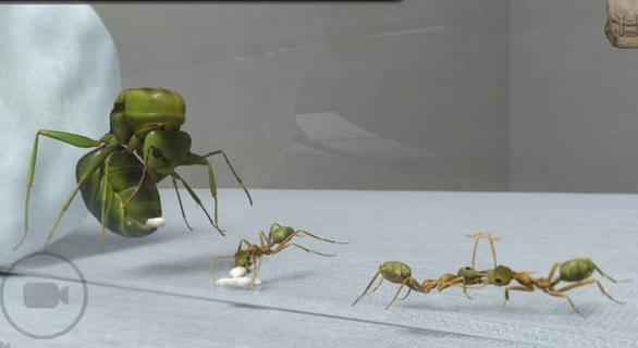 蚂蚁模拟器 汉化版(图1)