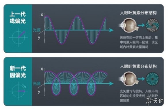 双11健康电竞新选择：EVNIA弈威双核电竞显示器，守护你的游戏视界！(图4)