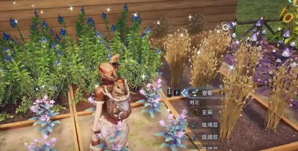 荒原曙光雪莲获取方法2