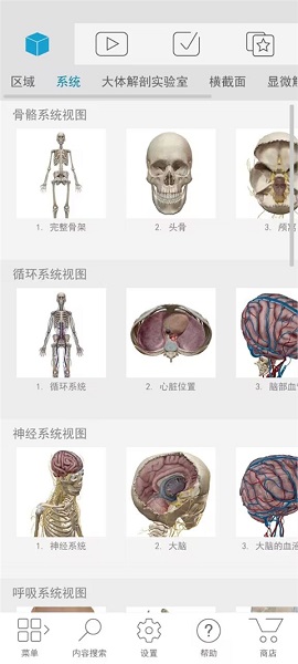 
atlas人体解剖