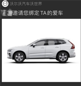 沃尔沃汽车(图4)