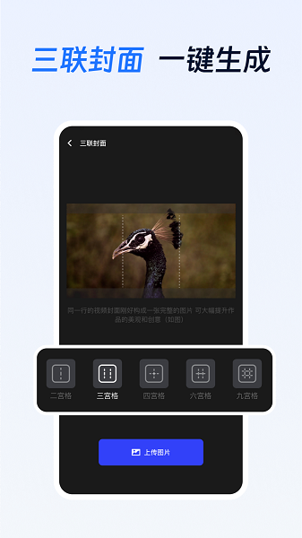 
项侠客