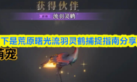 荒原曙光流羽灵鹤捕捉指南