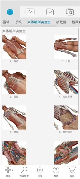 atlas人体解剖(图1)