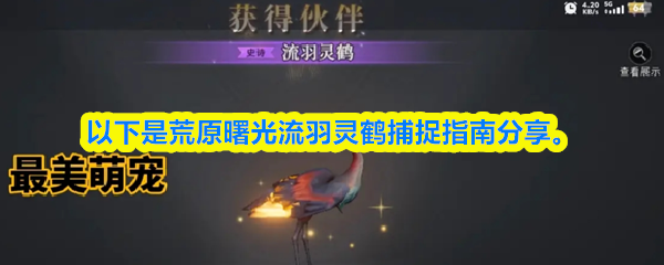 荒原曙光流羽灵鹤捕捉指南(图1) 荒原曙光流羽灵鹤捕捉指南