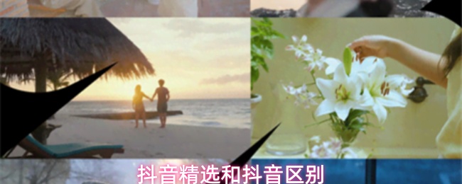 抖音精选和抖音区别(图1) 抖音精选和抖音区别