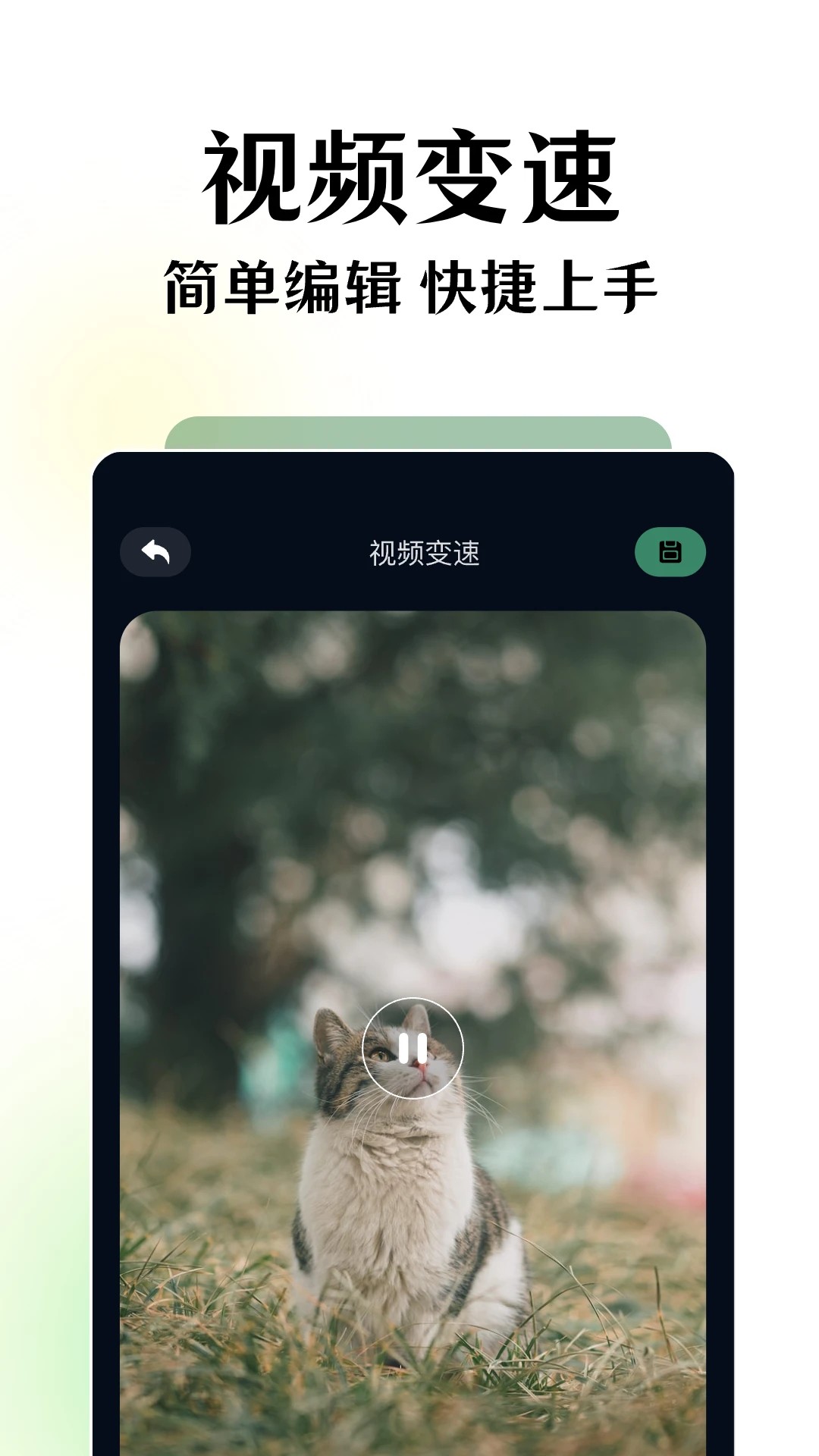 碧海剧场(图3) 碧海剧场(图3)