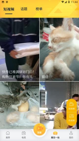 醒目视频 最新版(图5) 醒目视频 最新版(图5)
