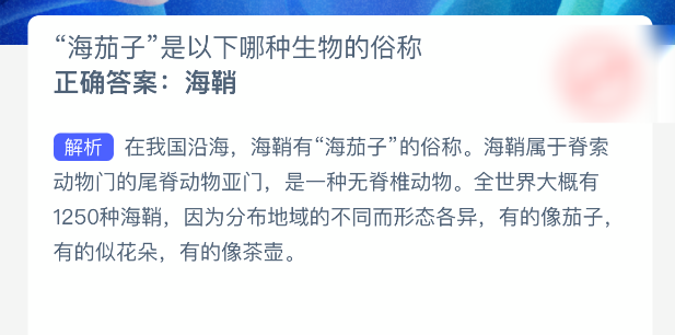 海茄子是以下哪种生物的俗称(图2) 海茄子是以下哪种生物的俗称(图2)