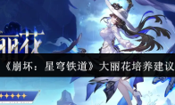 《崩坏:星穹铁道》大丽花培养建议