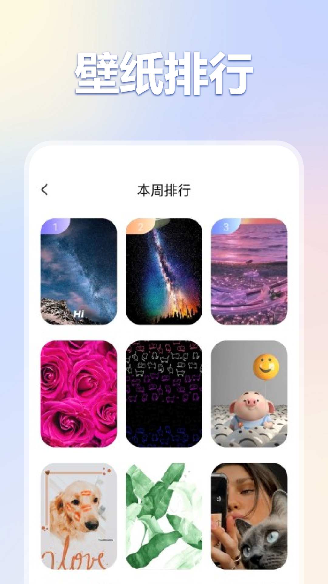 
彩虹猫pro 最新版