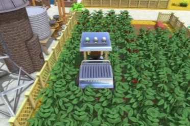 在最“养生”的种田游戏里，连小鸡都找到了爱情？