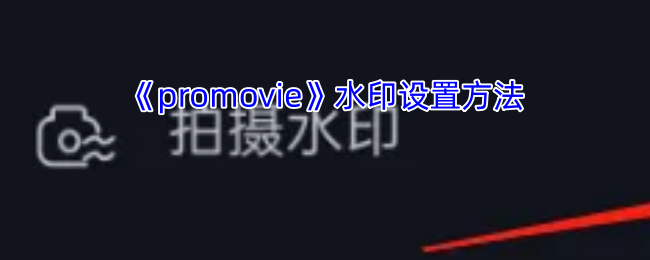 《promovie》水印设置方法