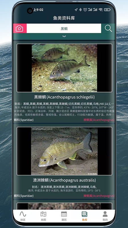 
潮汐表精灵