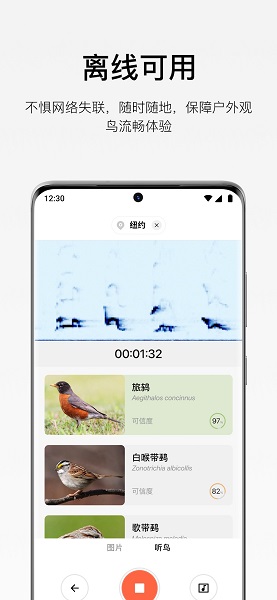
懂鸟
