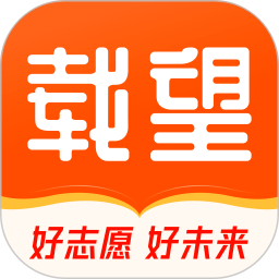 载望志愿