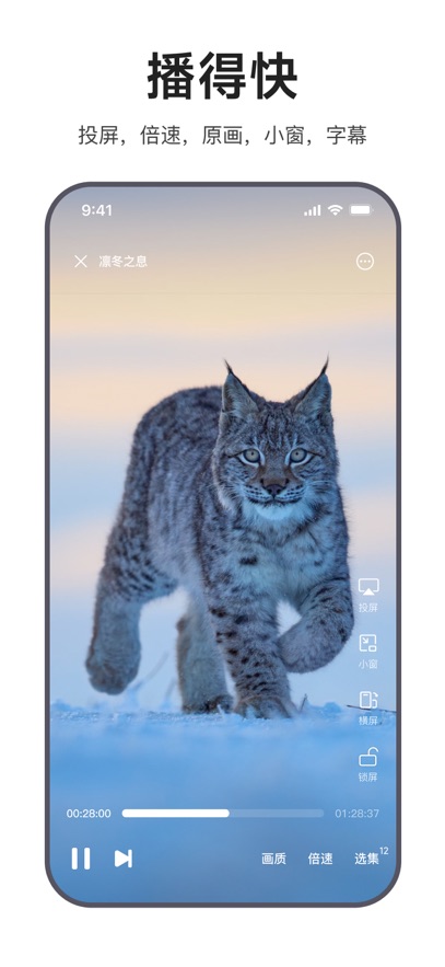 迅雷浏览器 官方版(图1)