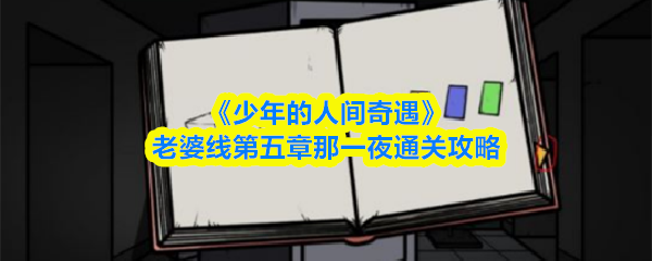 《少年的人间奇遇》老婆线第五章那一夜通关攻略