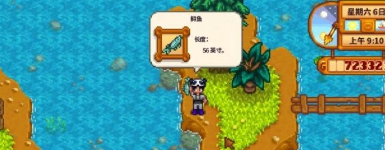 星露谷物语鲟鱼最佳钓点分享3 星露谷物语鲟鱼最佳钓点分享3