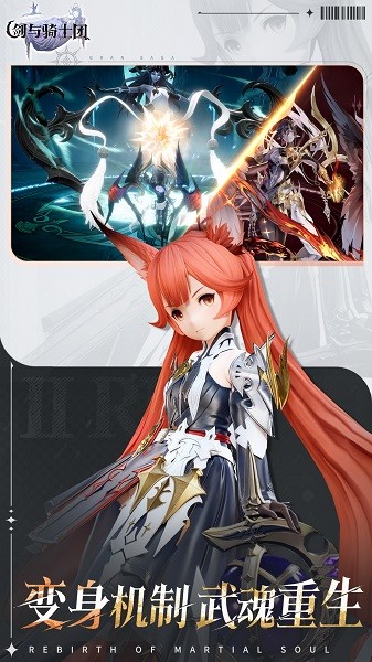 
剑与骑士团 官服