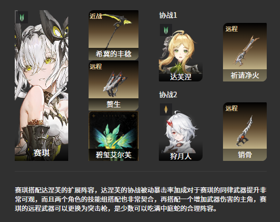 二重螺旋赛琪阵容推荐2