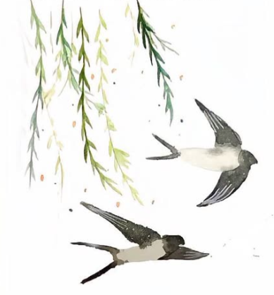 民谚说“燕子低飞要下雨”，真有科学依据吗？