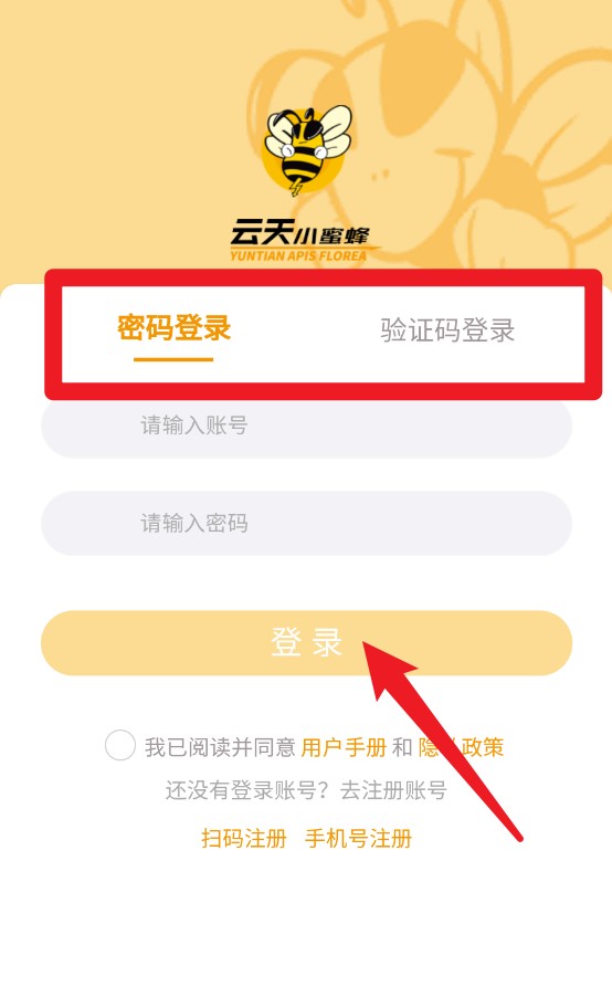 云天小蜜蜂(图2)