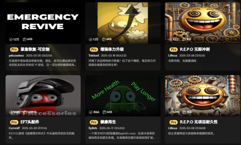 【R.E.P.O】汉化教程+多功能MOD整合包分享(图6)