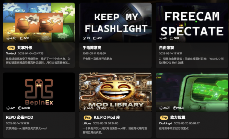 【R.E.P.O】汉化教程+多功能MOD整合包分享(图5)