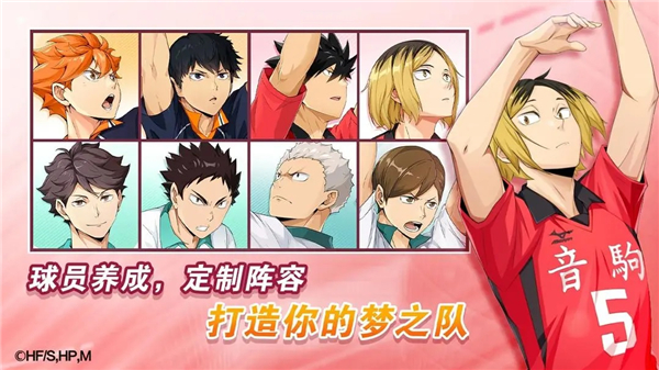 
排球少年：新的征程 国服