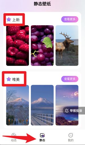 拇指壁纸 手机版(图4)