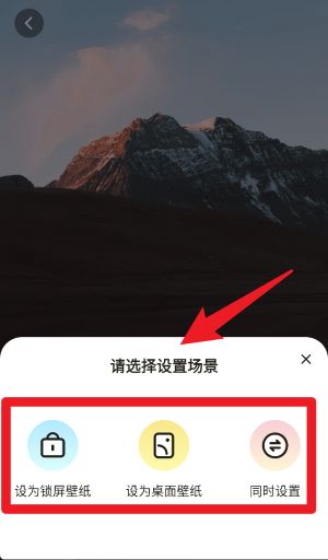 拇指壁纸 手机版(图5)