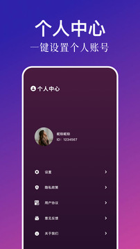 新闪电龟(图1)