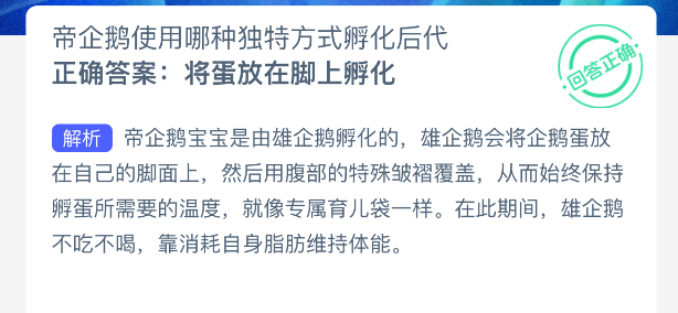 帝企鹅使用哪种独特方式孵化后代(图2)