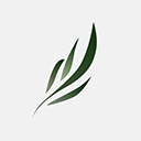 东南小说 无广告版