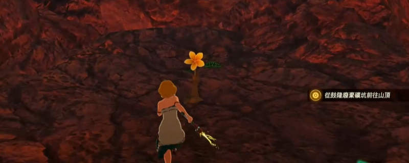 《塞尔达无双：封印战纪》前三章克洛格果实位置介绍