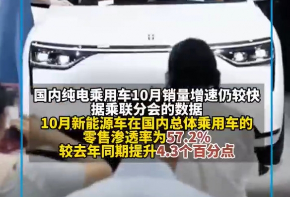 遭遇滑铁卢？特斯拉10月销量锐减 市场份额跌破4%(图6)