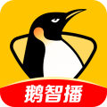 企鹅体育app