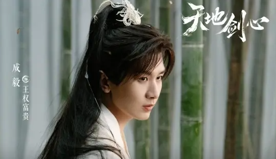 天地剑心音夫人为什么要杀王权富贵