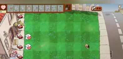 
小白大战小鸡毛