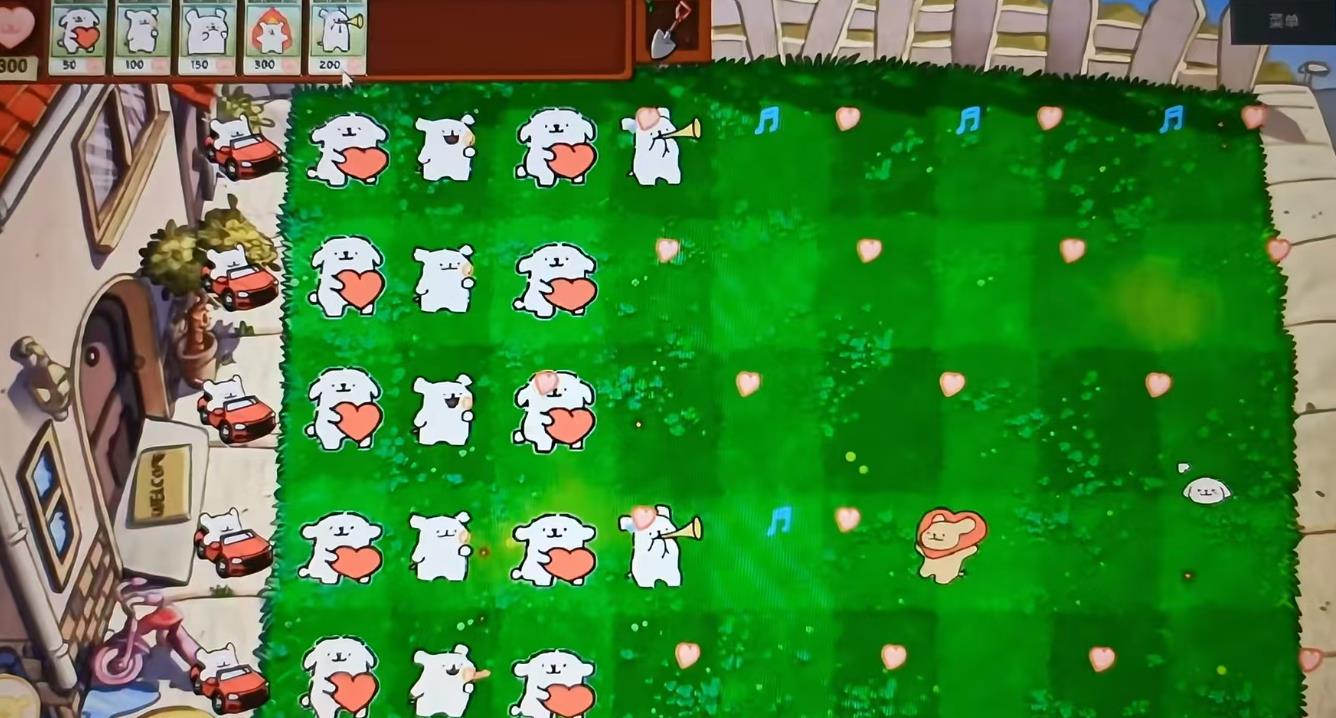 
小白大战小鸡毛