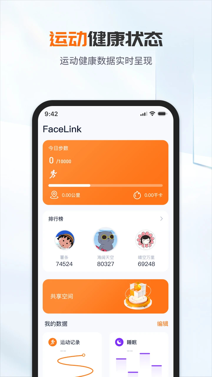 FaceLink(图1)