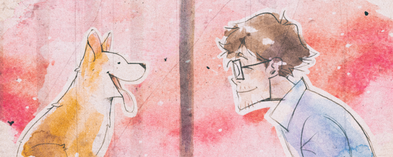 《我的小柯基》全流程通关攻略分享