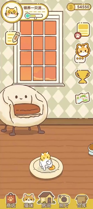 领养一只流浪猫游戏玩法1